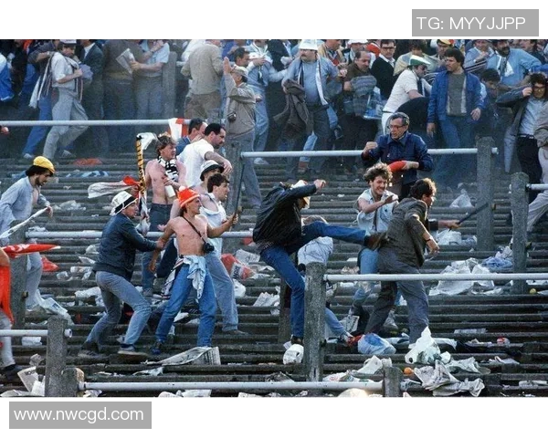 全国知名足球明星的成长历程与辉煌成就解析