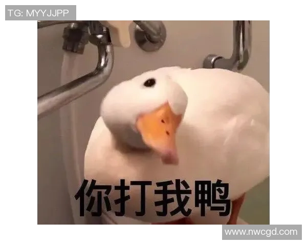 足球明星搞怪表情包大集合让你笑翻天的幽默瞬间