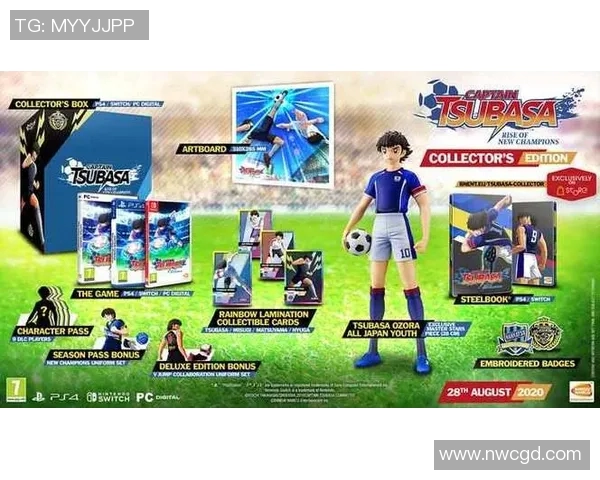 下载足球明星豪华版尽享顶级赛事体验与明星球员互动乐趣